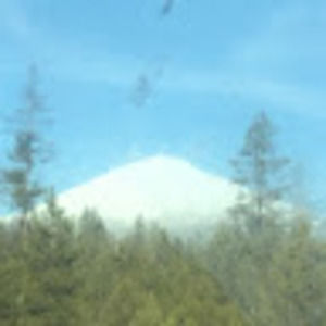 Meet your Posher, Mannix